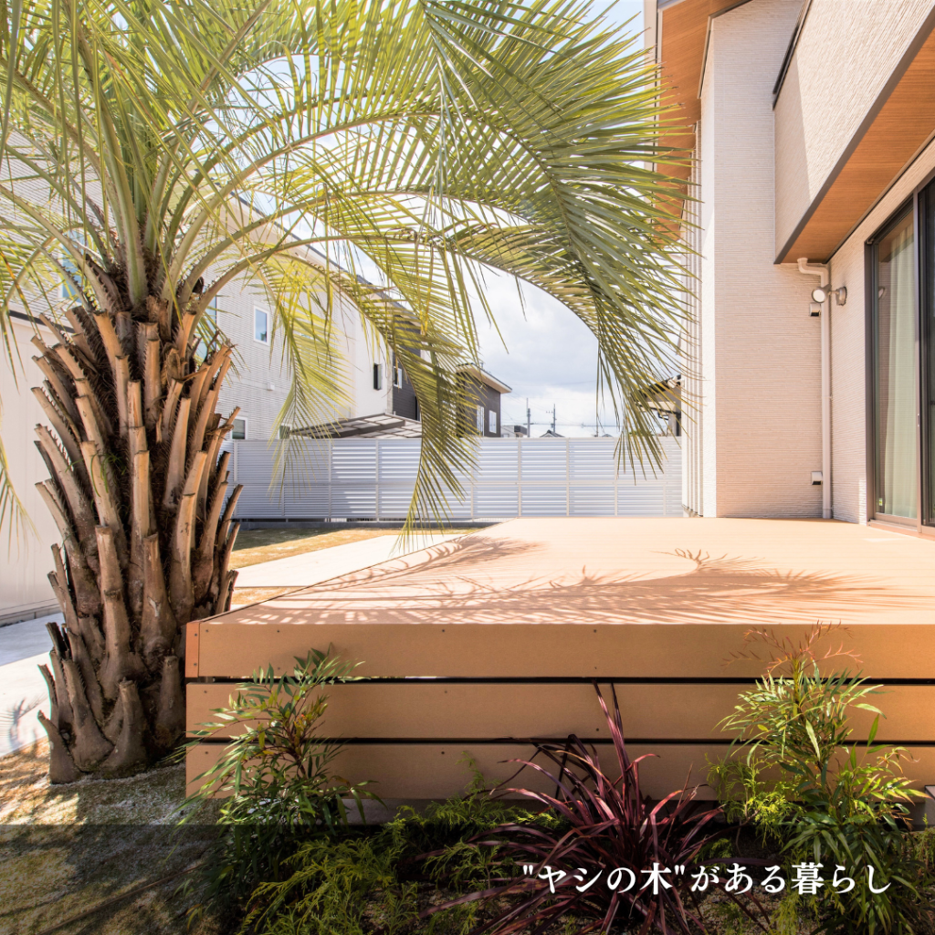 岐阜の外構・エクステリア専門店 ラウレアが創るの庭　施工事例 庭に植えられたココスヤシ
