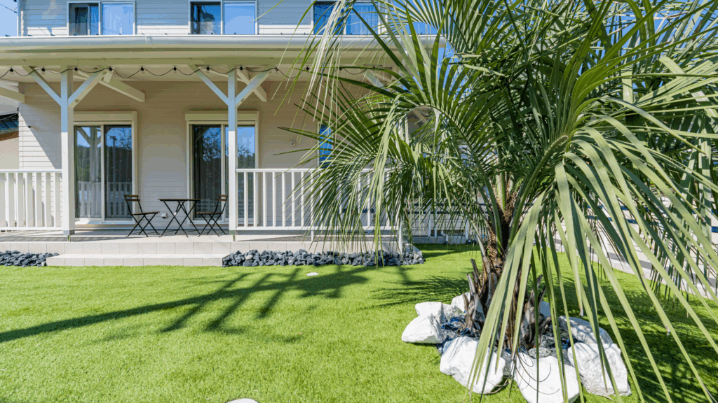 ヤシの木の有る生活