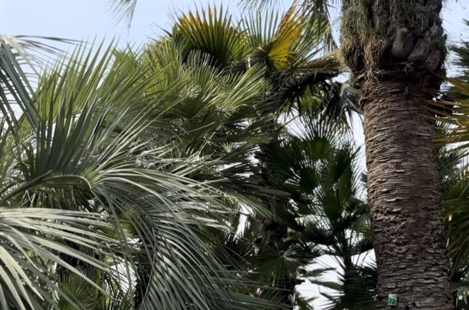 岐阜の外構・エクステリア