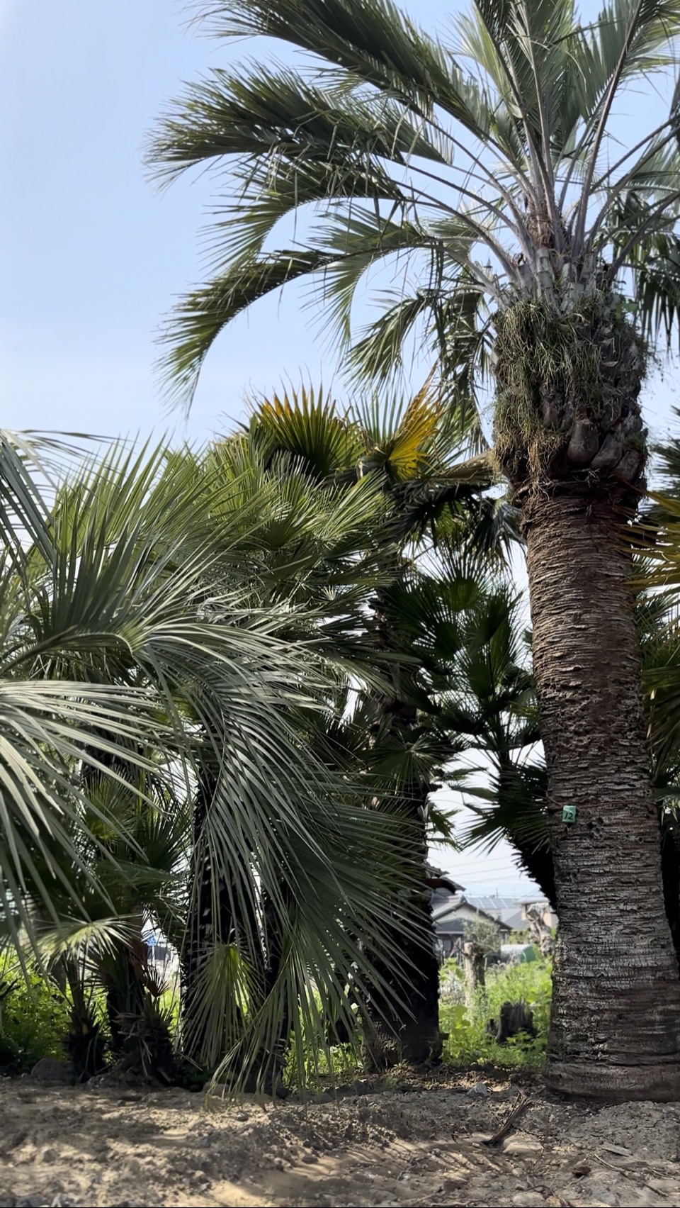 岐阜の外構・エクステリア