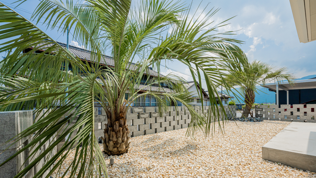 岐阜の外構・エクステリア専門店ラウレア　おしゃれ　かっこいい　素敵　庭　ココスヤシ　ヤシの木　リゾートスタイル　ホテルライク　高級　豪華　ラグジュアリー